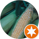 顔シカク profile picture